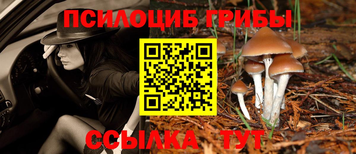 Галлюциногенные грибы ЛСД Армавир