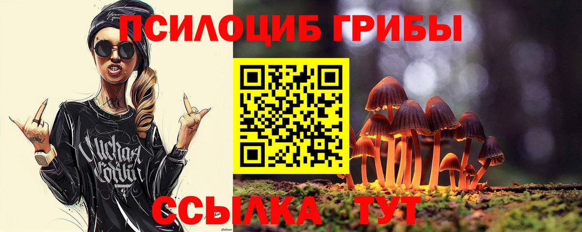 Псилоцибиновые грибы Psilocybe  Псилоцибиновые грибы мицелий  Армавир  Вход с VPN 
